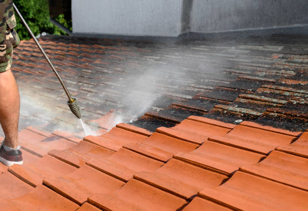 Best Deck Cleaning Services  in Burr Ridge, IL